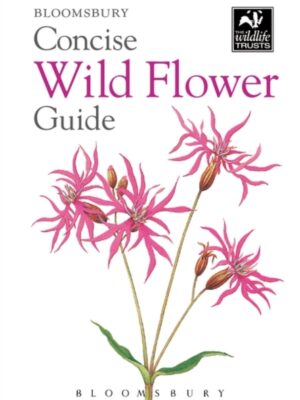Concise Wild Flower Guide