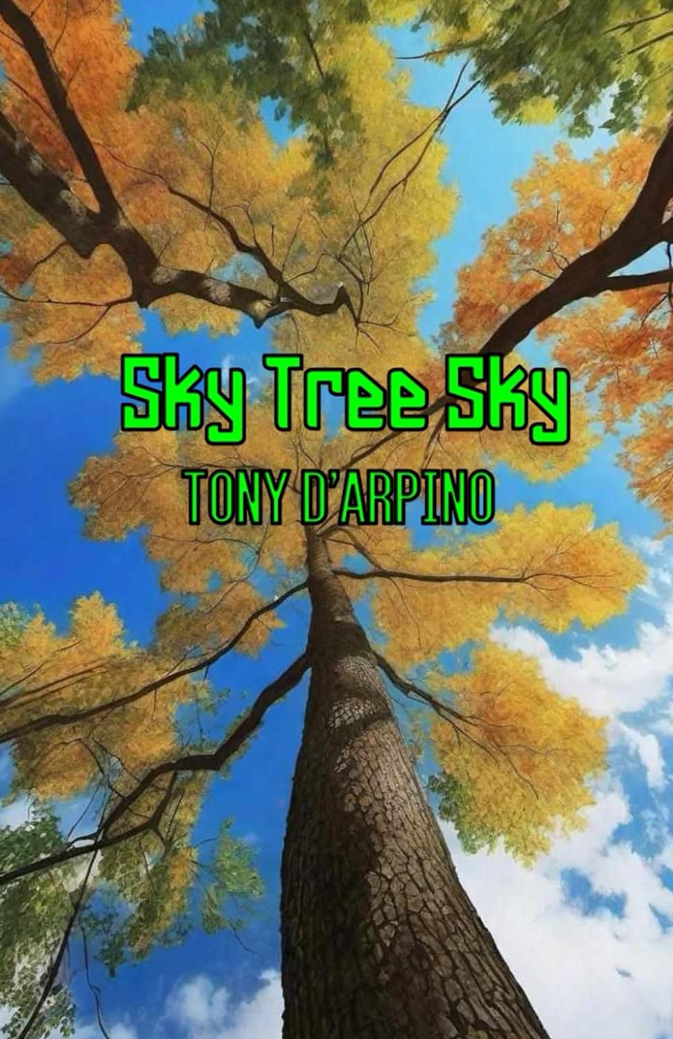 Sky Tree Sky