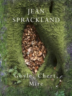 Goyle, Chert, Mire